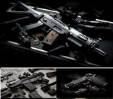 Armas e Munição em Santa Maria